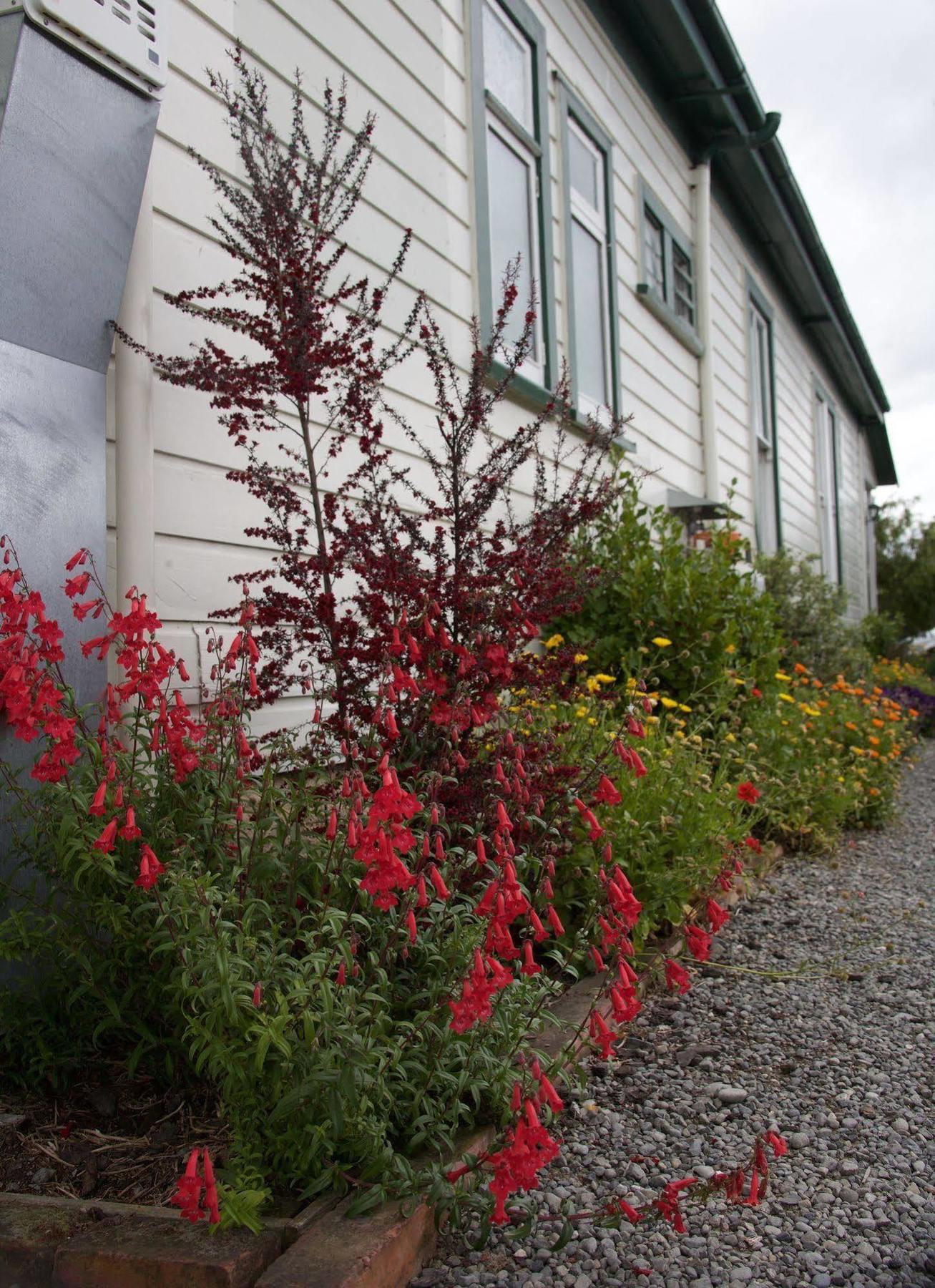 Pinedale Lodge & Apartment Methven Dış mekan fotoğraf