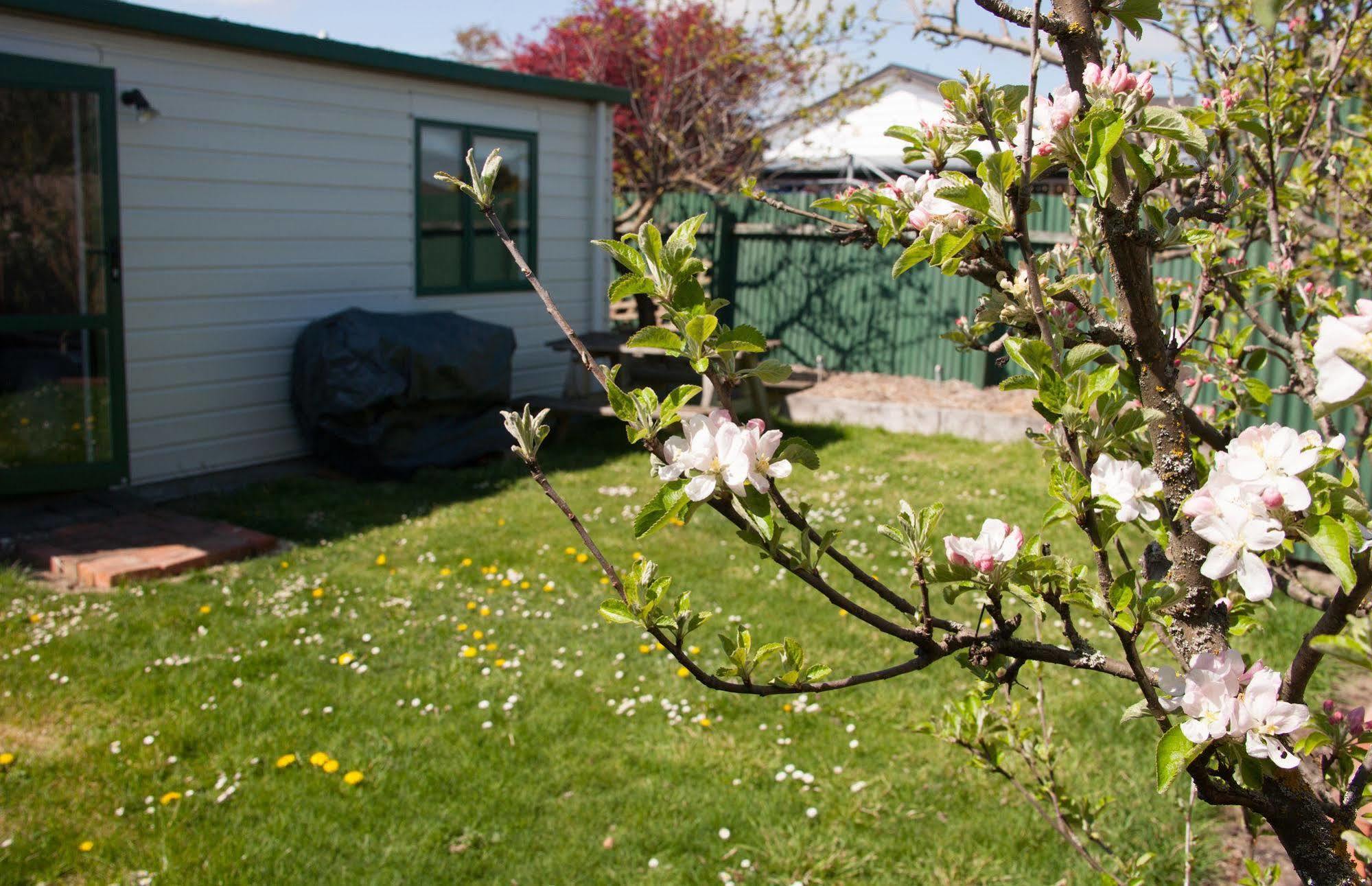 Pinedale Lodge & Apartment Methven Dış mekan fotoğraf